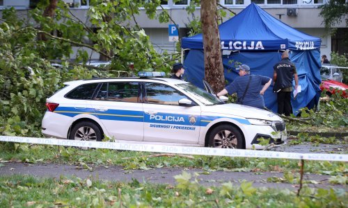 Teška prometna nesreća, vozač poginuo u slijetanju auta s ceste