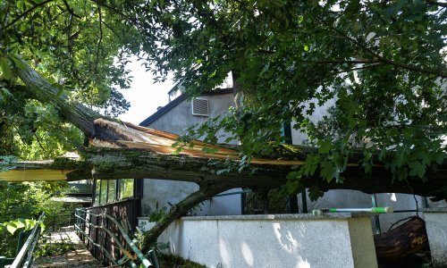 Zoološki i Botanički vrt zbog šteta nastalih u nevremenu zatvorili vrata za posjetitelje