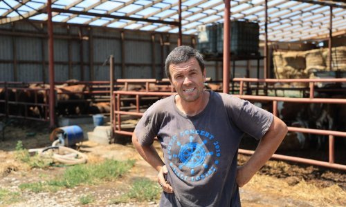 Farmeri iz Strizivojne zatekli se u središtu oluje: Ratno stanje je za ovo mila majka