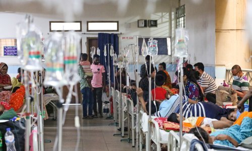 WHO poziva na oprez zbog denga groznice, zabilježeno nekoliko slučajeva u Europi