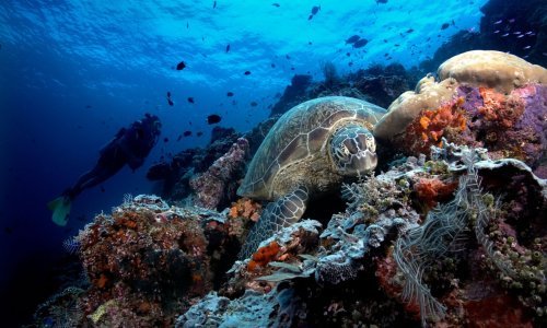 Hrvatska i Španjolska će zajedno istraživati podmorje