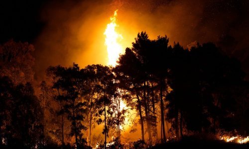 Požari haraju jugom Italije, stižu nove vrućine