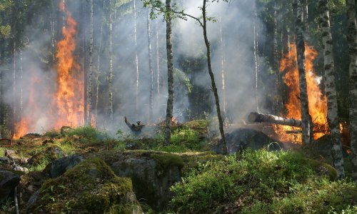 Znanstvenici tvrde: 'Uloga klimatskih promjena u srpanjskim toplinskim valovima je ogromna'