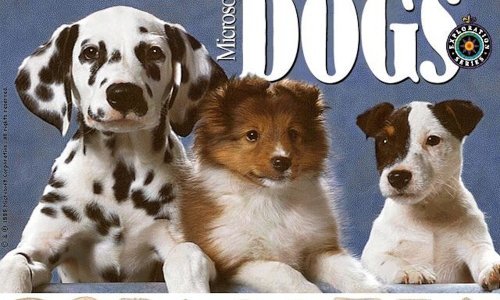 Sjećate se vremena u kojem je Microsoft imao softver o psima, dinosaurima i robotima?