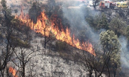Alžirom bjesne šumski požari; 25 ljudi izgubilo život