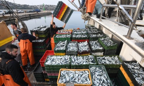 Ulov i uzgoj morske ribe pao, cijene porasle