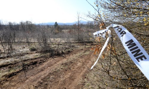 Čisteći okućnicu u Lici pronašao 11 minobacačkih mina