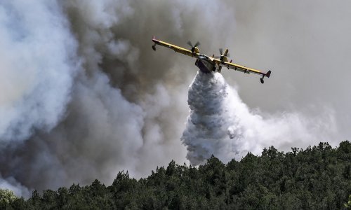 Požar kod Ploča: Gori gusta borova šuma, dva kanadera u akciji