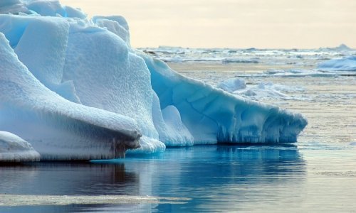 Predsjednik samita COP28: 'Svijet gubi utrku s klimatskim promjenama'