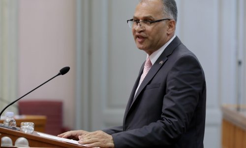 Saborski zastupnik Kajtazi osudio silovanje mačke u romskom naselju