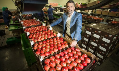 Rabo iz Kneževih Vinograda prodan mađarskoj Mészáros grupi