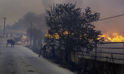 Pijani vozač se slupao i izazvao požar kolosalnih razmjera u Grčkoj