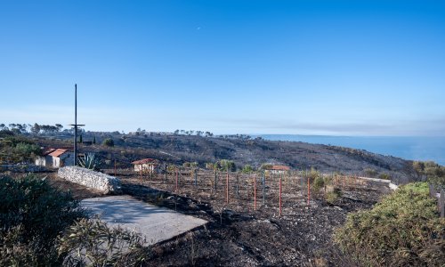 Lokaliziran požar na Čiovu, vatrogasci i danas ostaju na požarištu