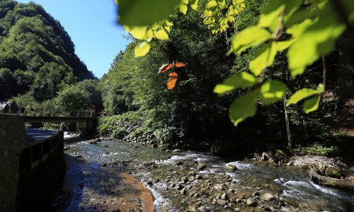 Građani Hrvatske sve svjesniji važnosti očuvanja prirode, ovo su ključni stavovi