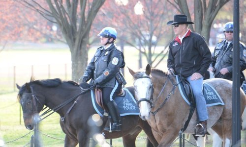 Američki ministar unutarnjih poslova na konju dojahao na posao