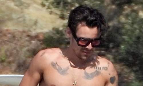 Harry Styles na brodu pokazao trbušnjake, ali i tetovažu posvećenu bivšoj