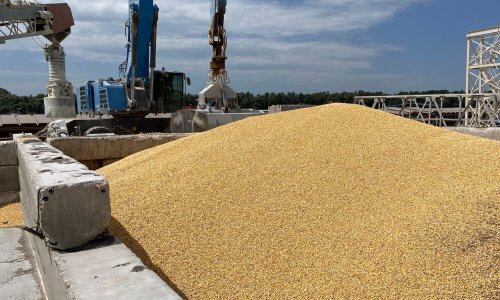 Ukrajinci otkrili kako točno misle izvoziti žito preko Hrvatske