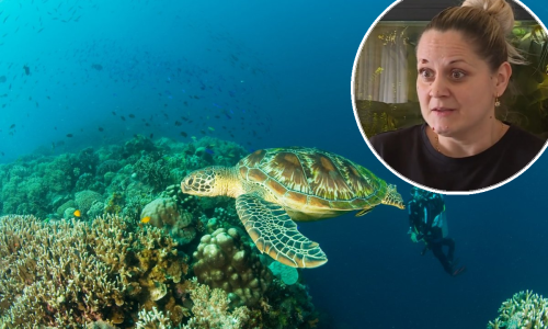 Javila se žena koju je napala kornjača na Čiovu: Vrištala sam iz petnih žila