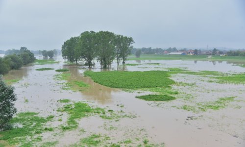 Sava poplavila nasip ispod Domovinskog mosta u Zagrebu