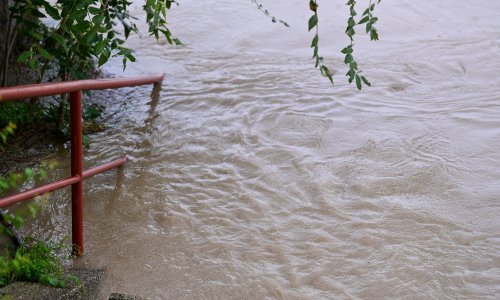 Načelnik Rugvice: Rade se boks barijere, nadamo se da će Sava uskoro početi padati