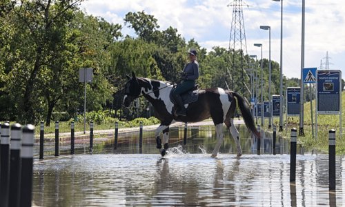 Južna strana Jaruna je poplavljena, zabranjen promet, najsigurnije je na konjima