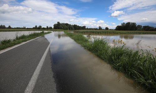 Drava se izlila i u Virovitičko-podravskoj, pojedine kuće uz rijeku ugrožene