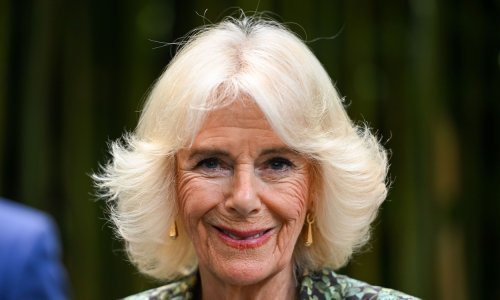 Kraljičina snaha otkrila: Evo kakva baka je kraljica Camilla