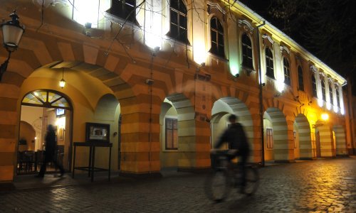 Vinkovci: Nesvakidašnja izložba ispred Galerije Slavka Kopača