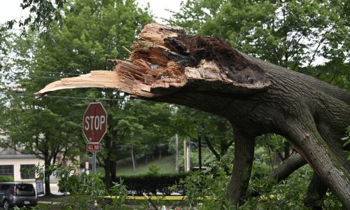 Oluje u SAD-u odnijele najmanje dva života, otkazuju se letovi, tisuće ljudi bez struje