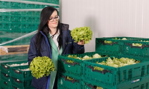 Upoznajte tim žena koje brinu da slavonsko voće i povrće stigne s polja do polica trgovina