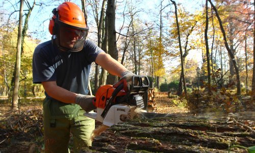 U Lici nestašica ogrjevnog drva, ispunjeno tek 42 posto narudžbi
