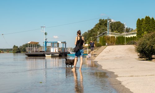 Vodostaj Drave kod Donjeg Miholjca pao ispod 500 cm, Osijek neće biti ugrožen