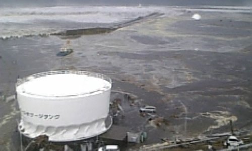 Japan tvrdi da u ribama u vodama kod Fukushime nema radioaktivnosti