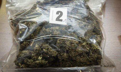 U Sinju pao diler, kod njega pronađena marihuana i oružje