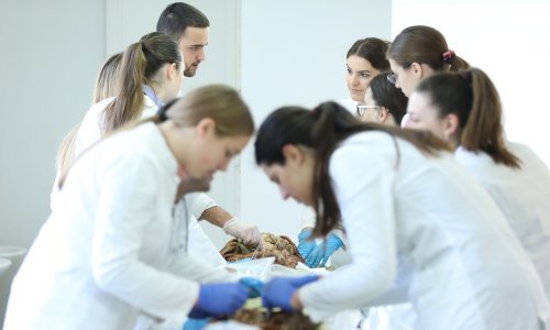 Najbolja sveučilišta na svijetu: Pogledajte gdje je Zagreb u odnosu na Beograd i Ljubljanu