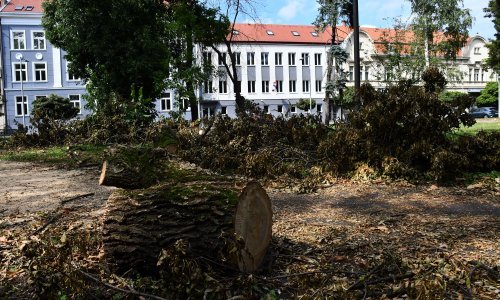 Mjesec dana u zgradi usred grada žive bez krova nad glavom, plina i tople vode