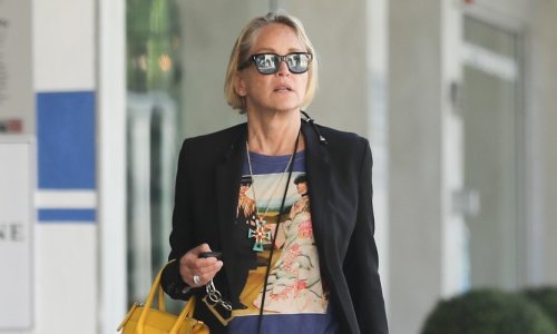 Stajling koji briše godine: Sharon Stone zablistala u razigranom outfitu
