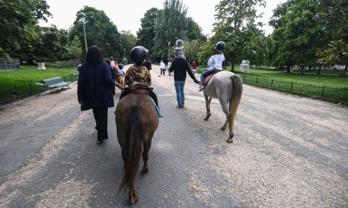 Pariz zabranjuje jahanje ponija u parkovima