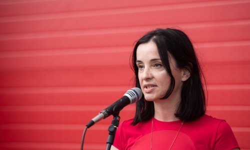 Ministrica Vučković o eutanaziranim svinjama: Teško je prihvatiti neke činjenice