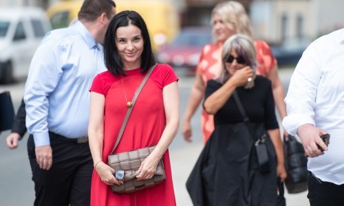 Ministrica Vučković: Dosad usmrćene zaražene svinje na 441 gospodarstvu