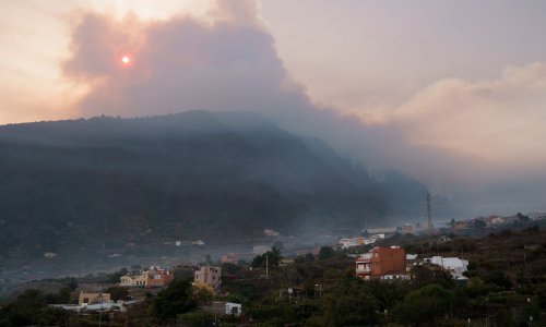 Tenerife: Širi se šumski požar, tjera tisuće ljudi iz domova