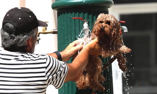 U srijedu vruće, ali bit će i pljuskova s grmljavinom. Evo gdje