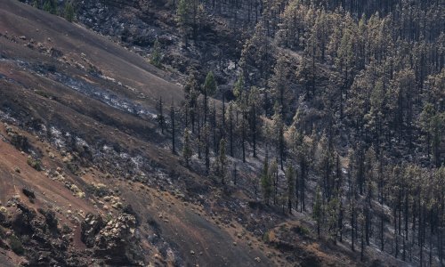 Stabiliziran golemi požar na Tenerifima