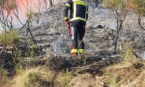 Požar iznad Doma zdravlja u Vrgorcu