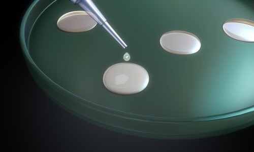 Stvoren prvi umjetni 'embrij' miša iz matičnih stanica