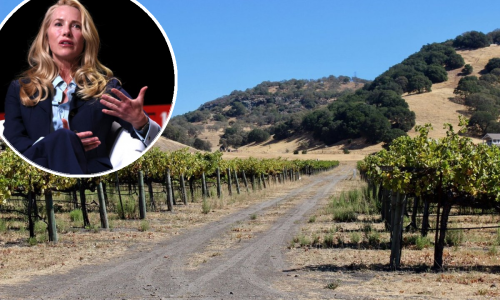 Niče 'grad budućnosti': Tech milijarderi u tajni projekt uložili 800 milijuna dolara