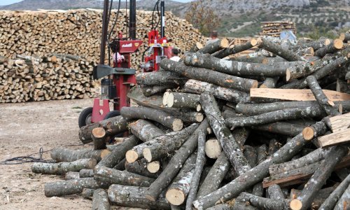 Zašto u šumovitoj Hrvatskoj vlada nestašica drva za ogrjev?