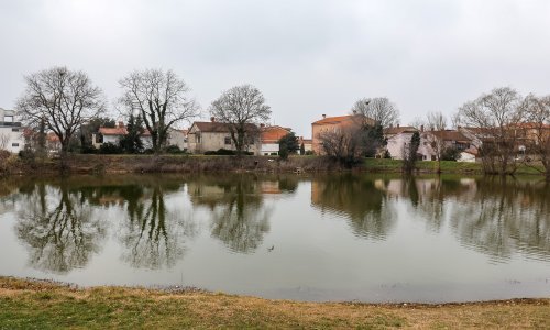 Pomor ribe u Medulinskoj lokvi: Struka zabrinuta, ali i vidi u tome i pozitivnu stvar