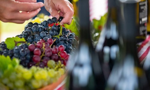 Ova je destinacija neodoljiva u rujnu! Slavonija i Podravina, wine not!?