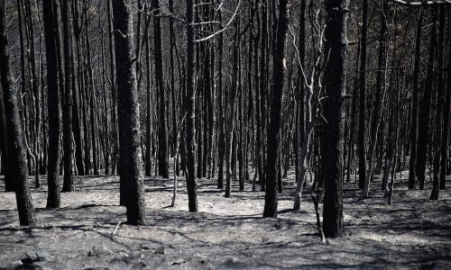 Grčka suočena s dosad najvećim požarom u EU-u, u pomoć poslana polovica europske flote